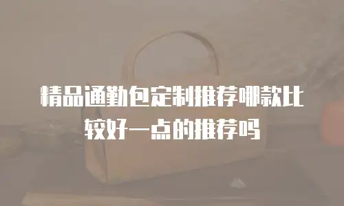 精品通勤包定制推荐哪款比较好一点的推荐吗