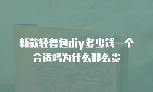 新款轻奢包diy多少钱一个合适吗为什么那么贵