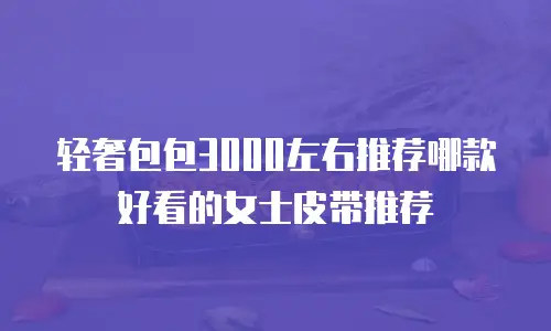 轻奢包包3000左右推荐哪款好看的女士皮带推荐
