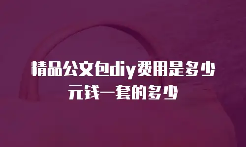 精品公文包diy费用是多少元钱一套的多少