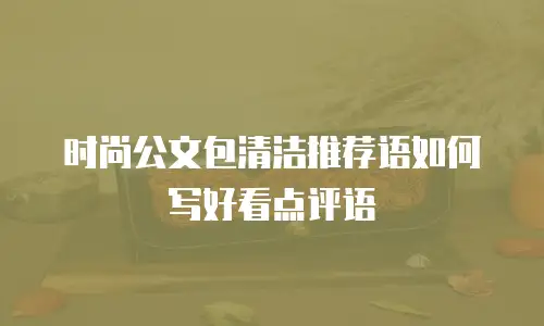 时尚公文包清洁推荐语如何写好看点评语