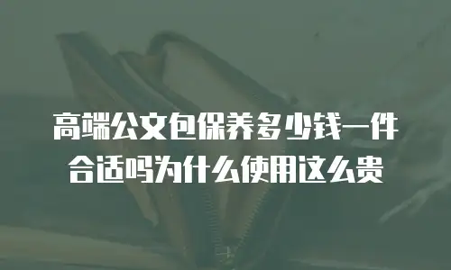 高端公文包保养多少钱一件合适吗为什么使用这么贵