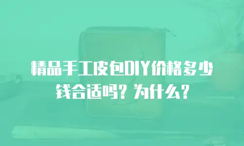精品手工皮包DIY价格多少钱合适吗？为什么？