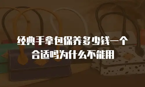 经典手拿包保养多少钱一个合适吗为什么不能用