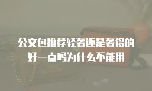 公文包推荐轻奢还是奢侈的好一点吗为什么不能用