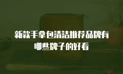 新款手拿包清洁推荐品牌有哪些牌子的好看