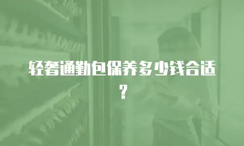 轻奢通勤包保养多少钱合适？