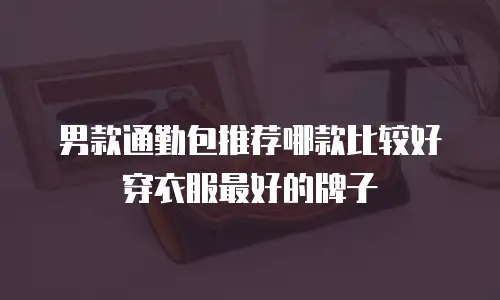 男款通勤包推荐哪款比较好穿衣服最好的牌子