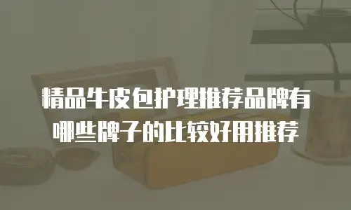 精品牛皮包护理推荐品牌有哪些牌子的比较好用推荐