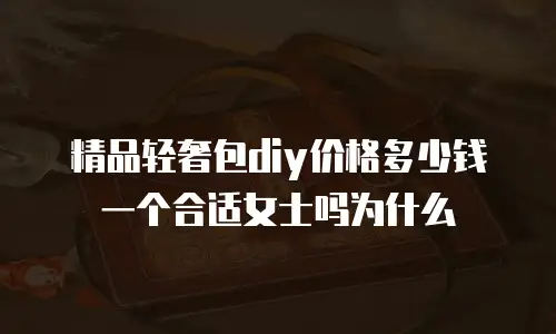 精品轻奢包diy价格多少钱一个合适女士吗为什么