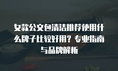 女款公文包清洁推荐使用什么牌子比较好用？专业指南与品牌解析