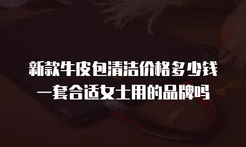 新款牛皮包清洁价格多少钱一套合适女士用的品牌吗