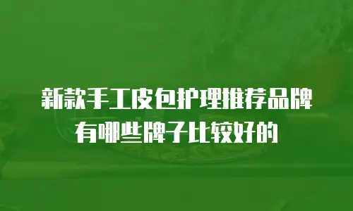 新款手工皮包护理推荐品牌有哪些牌子比较好的