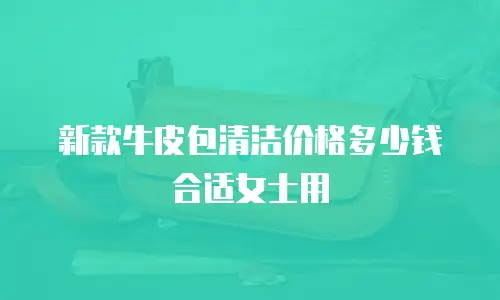 新款牛皮包清洁价格多少钱合适女士用