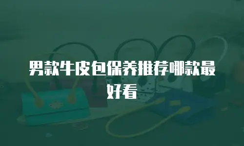 男款牛皮包保养推荐哪款最好看