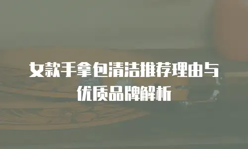 女款手拿包清洁推荐理由与优质品牌解析