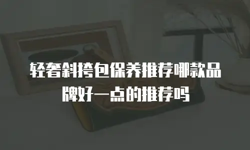 轻奢斜挎包保养推荐哪款品牌好一点的推荐吗
