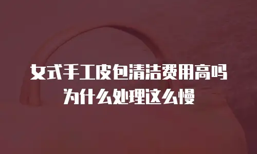 女式手工皮包清洁费用高吗为什么处理这么慢