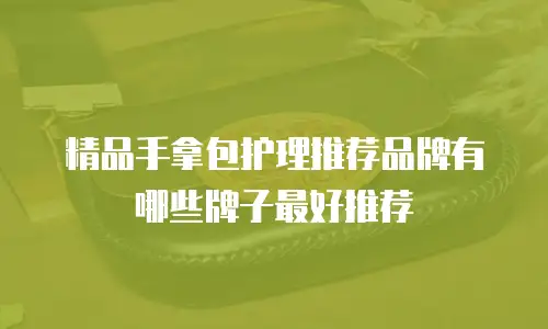 精品手拿包护理推荐品牌有哪些牌子最好推荐