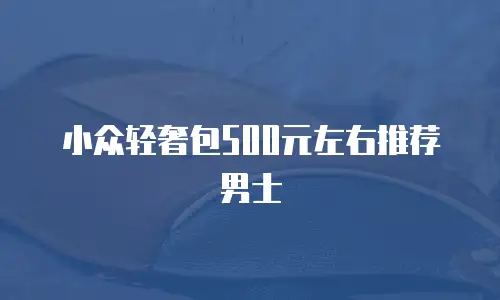 小众轻奢包500元左右推荐男士