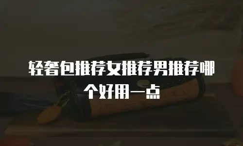 轻奢包推荐女推荐男推荐哪个好用一点