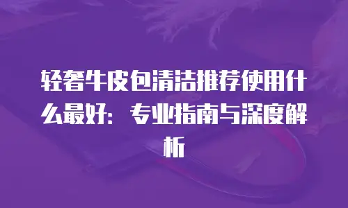 轻奢牛皮包清洁推荐使用什么最好：专业指南与深度解析