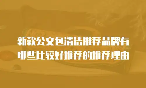 新款公文包清洁推荐品牌有哪些比较好推荐的推荐理由