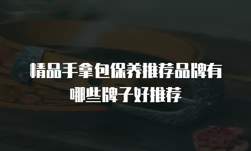 精品手拿包保养推荐品牌有哪些牌子好推荐