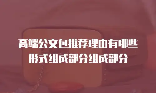 高端公文包推荐理由有哪些形式组成部分组成部分