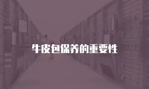 牛皮包保养的重要性