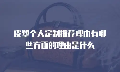 皮塑个人定制推荐理由有哪些方面的理由是什么