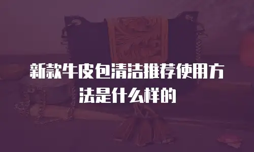 新款牛皮包清洁推荐使用方法是什么样的