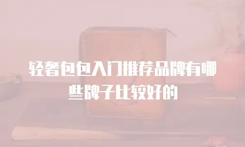 轻奢包包入门推荐品牌有哪些牌子比较好的