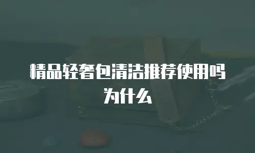 精品轻奢包清洁推荐使用吗为什么