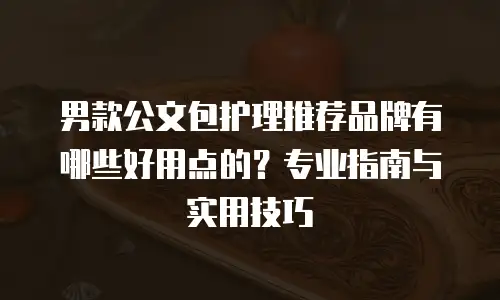 男款公文包护理推荐品牌有哪些好用点的？专业指南与实用技巧