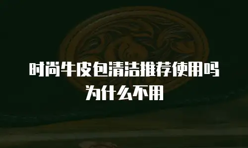 时尚牛皮包清洁推荐使用吗为什么不用