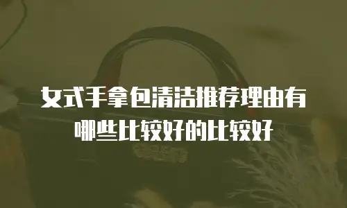 女式手拿包清洁推荐理由有哪些比较好的比较好