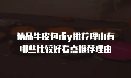 精品牛皮包diy推荐理由有哪些比较好看点推荐理由
