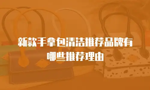 新款手拿包清洁推荐品牌有哪些推荐理由