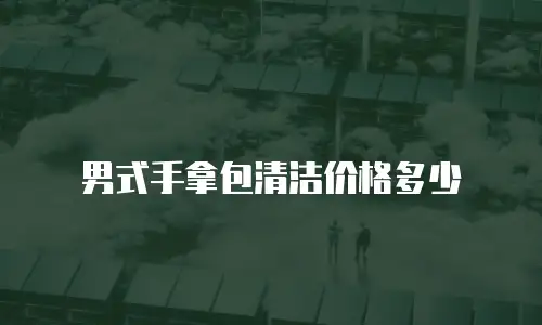 男式手拿包清洁价格多少
