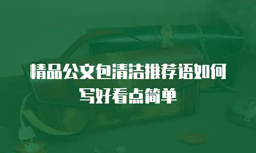 精品公文包清洁推荐语如何写好看点简单