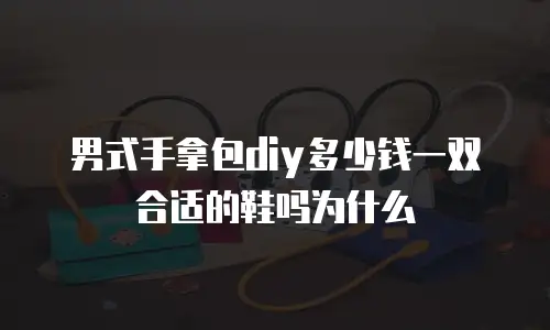 男式手拿包diy多少钱一双合适的鞋吗为什么