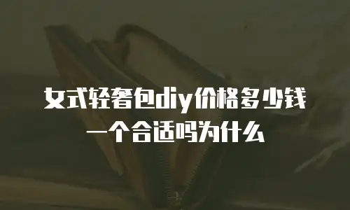女式轻奢包diy价格多少钱一个合适吗为什么