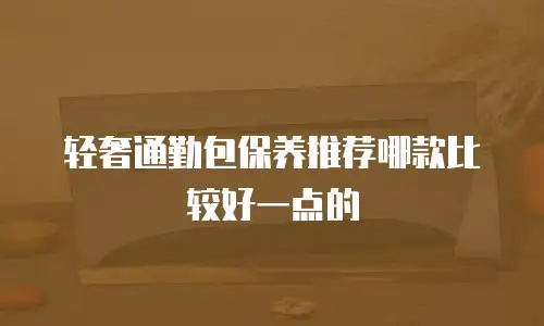 轻奢通勤包保养推荐哪款比较好一点的