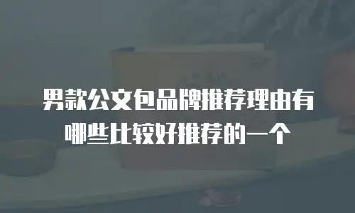 男款公文包品牌推荐理由有哪些比较好推荐的一个