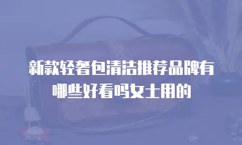 新款轻奢包清洁推荐品牌有哪些好看吗女士用的