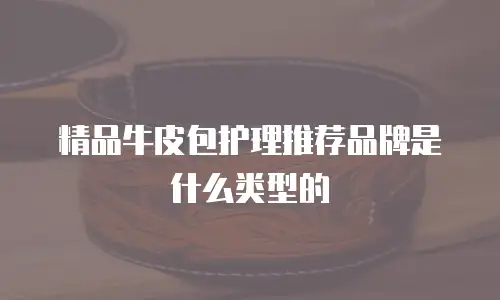 精品牛皮包护理推荐品牌是什么类型的