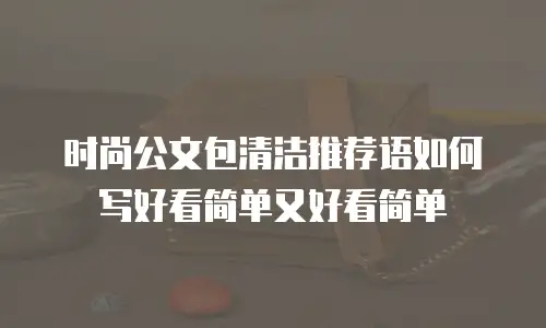 时尚公文包清洁推荐语如何写好看简单又好看简单