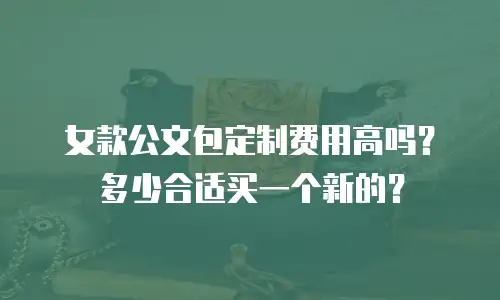 女款公文包定制费用高吗？多少合适买一个新的？