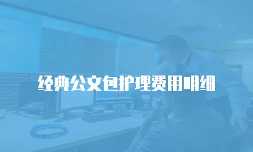 经典公文包护理费用明细